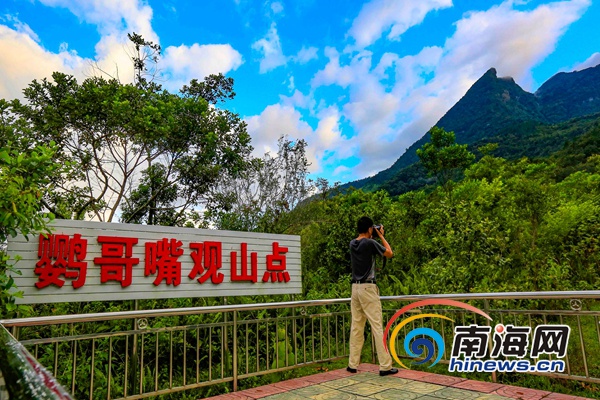 末尾有圖【焦點圖】【即時快訊】夏日鸚哥嶺成為避暑聖地