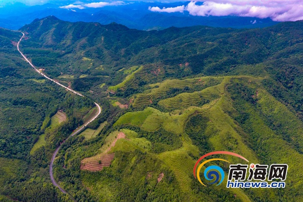 末尾有圖【焦點圖】【即時快訊】夏日鸚哥嶺成為避暑聖地