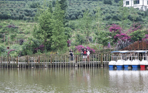 【共舞長江經濟帶】守住綠水青山 “幹出來”的貴州生態