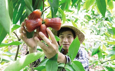 末尾有圖【食品農業圖文列表】【即時快訊】以産業育品牌 以品牌拓市場