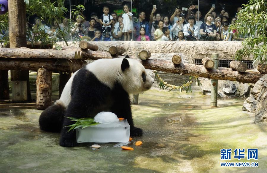 北京動物園：多種措施伴動物清涼過夏