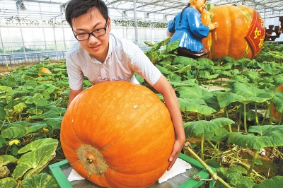 【輪播圖】現代農業結碩果