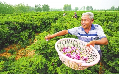 【頭條摘要】黨的十八大以來河南省脫貧攻堅紀實