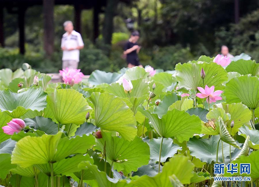 福州：看花觀鳥兩相宜