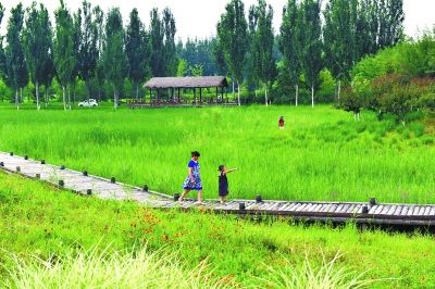 城市副中心廊道串起農業公園