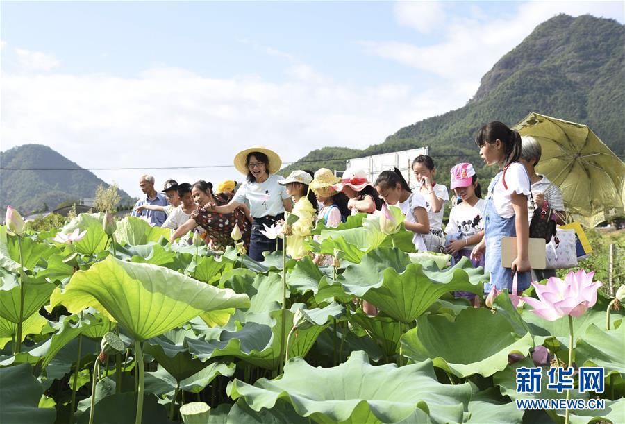 田間課堂 樂享暑假