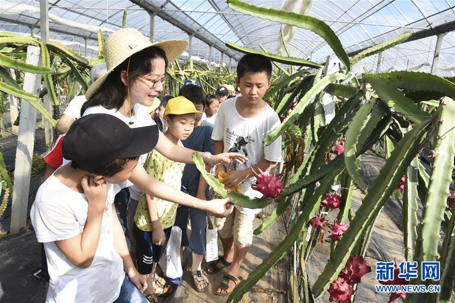 田間課堂 樂享暑假