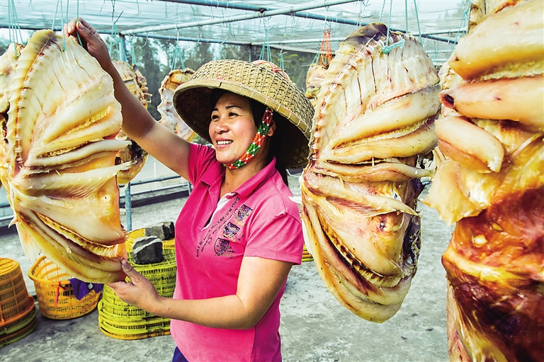 【儋州專題-焦點圖】【財經】【即時快訊】儋州紅魚暢銷市場