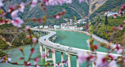 保護生態 水中架橋