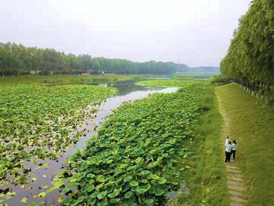 加大採樣檢測頻次 北京房山區生態環境局打響汛期水環境保衛戰