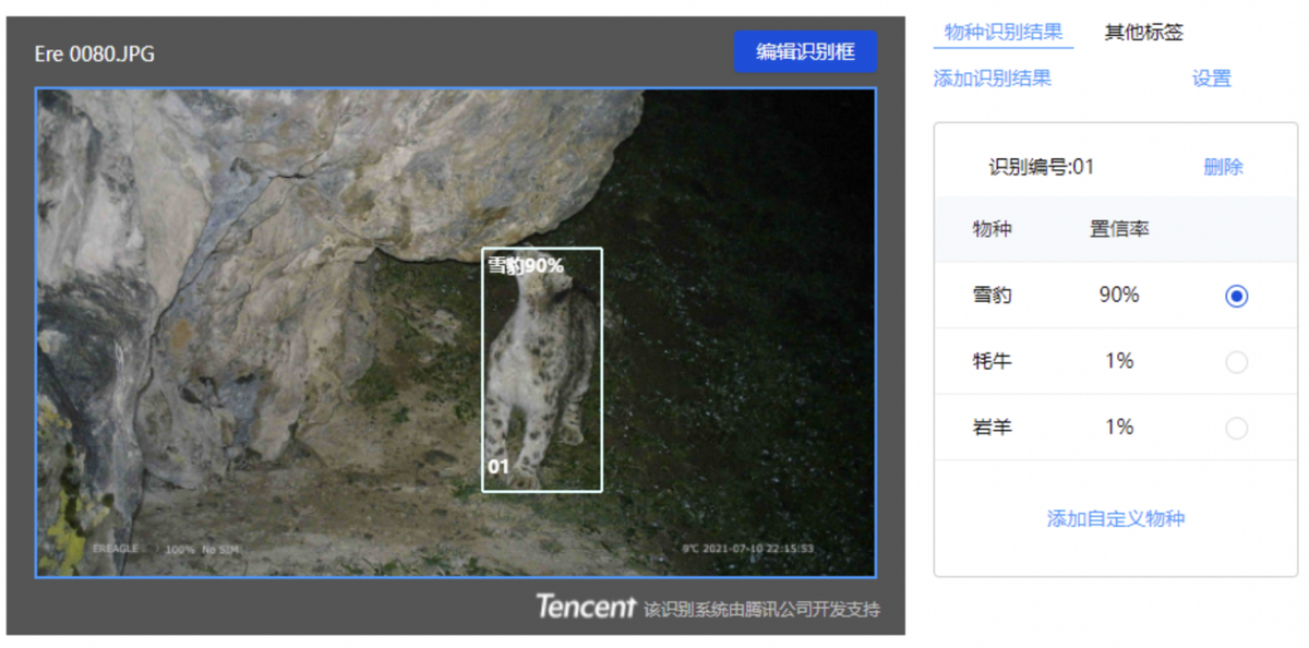 AI技術識別雪豹 騰訊首個雪豹保護數字化平臺入選“生物多樣性100+案例”_fororder_圖片2