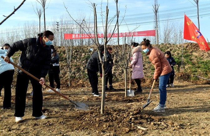 全民植綠四十載：累計175億人次參加 植樹781億株_fororder_2