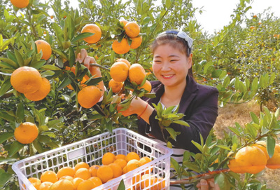 問渠哪得清如許 為有源頭碧水來 ——南水北調中線工程水源區生態保護調查