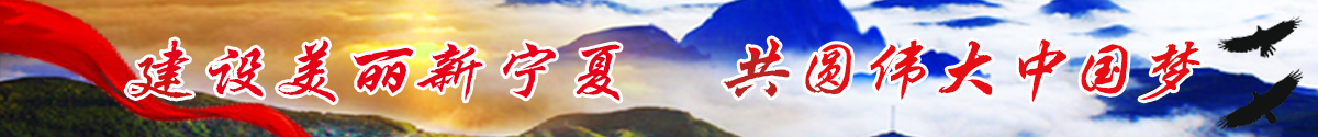 圖片默認標題_fororder_東遊寧夏