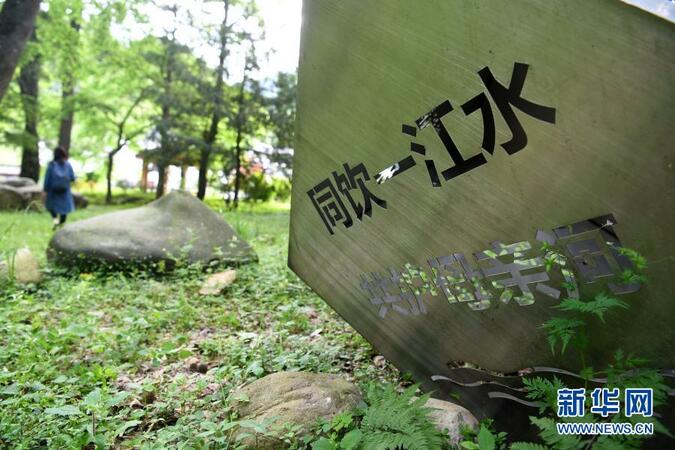 新安江流域：護一江清水，享“綠色紅利”