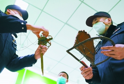 森林守護者