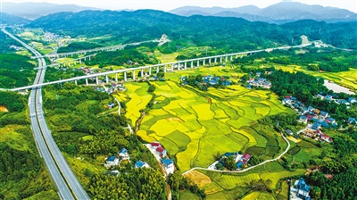 新農村 秋色美
