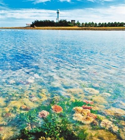 “極南”燈樓角 海流交匯處