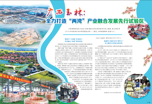 廣西玉林：全力打造“兩灣”産業融合發展先行試驗區