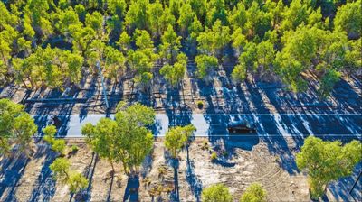 鄉村公路別樣美