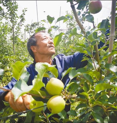 呵護致富果