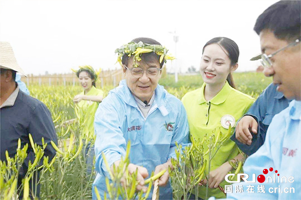 【供稿待審】大同丨星光行動·黃花訂貨會開啟大同脫貧新模式（生態進行時）