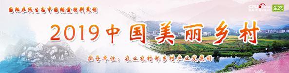 圖片默認標題_fororder_未標題-1