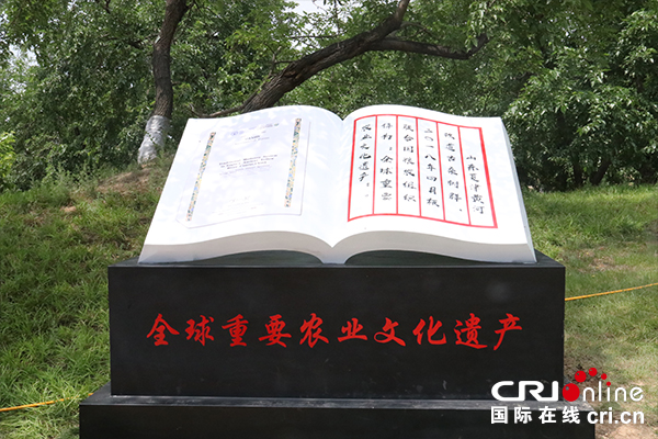 圖片默認標題_fororder_5