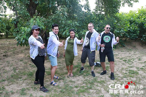 【原創待審】椹香十里 我在夏津等你（焦點圖）