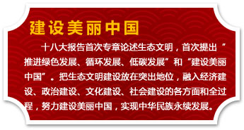 圖片默認標題