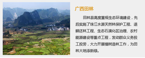 圖片默認標題