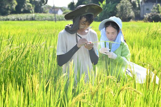 這個暑假怎麼過？ 跟著導師下稻田