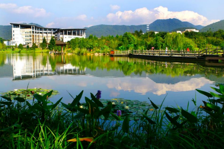 出海觀茶 | 浙江農林大學王磊：培養複合型人才 以“新”茶人助推中國茶國際化_fororder_浙江農林大學王磊3334