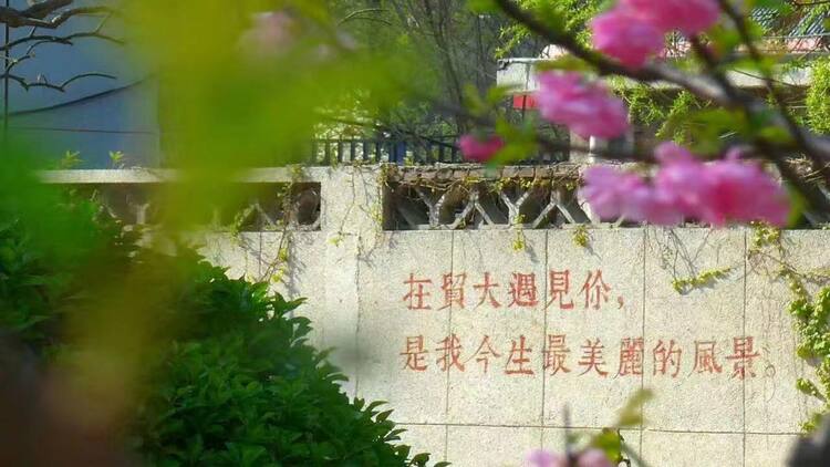 2022高招進行時丨對外經濟貿易大學劍橋國際學校：預科前置課程為學生提供多樣化的學習計劃與選擇_fororder_94977452f984e6901cc4c14f14423ab