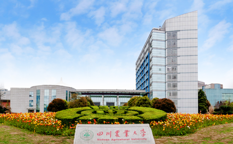 2023高招進行時丨四川農業大學:招生9300人 117年辦學歷史 多學科協調發展 2023高招進行時丨四川農業大學:招生9300人 117年辦學歷史 多學科協調發展_fororder_2