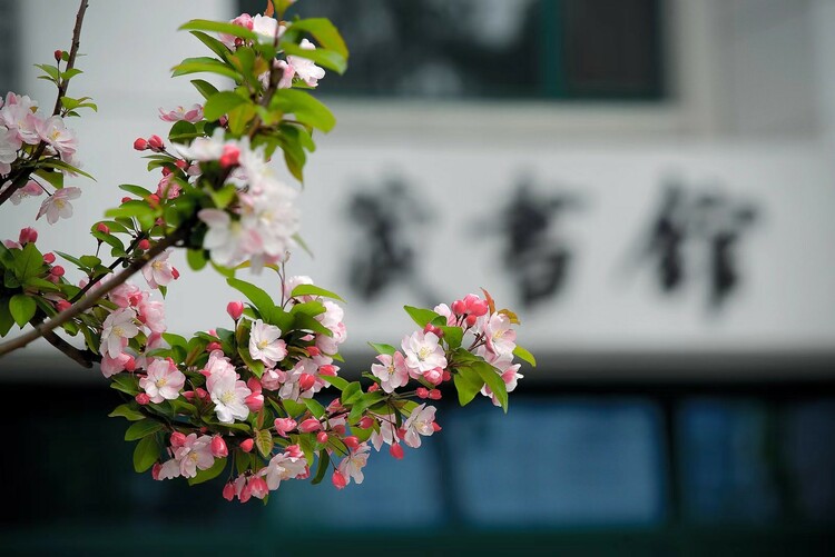 2023高招進行時丨中國人民大學：打造全球化學科視野 培養中國式現代化棟樑之才_fororder_3