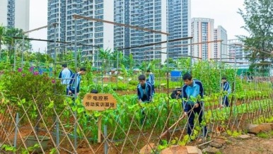 中職勞動教育“闖”出大天地