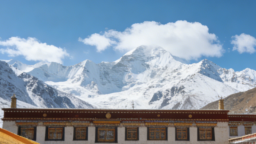 紮根雪域高原 靜待綠樹成蔭