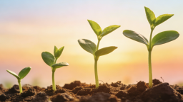 願做一束微光 為學生成長引路_fororder_ScreenShot_2026-01-29_094614_878