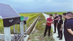 書寫田埂間的“科技答卷”