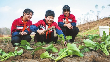 田間課堂學農事