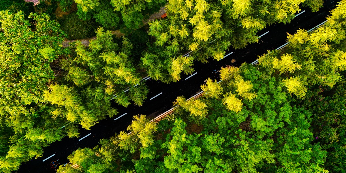 燕京理工學院幹道_fororder_燕京理工學院幹道