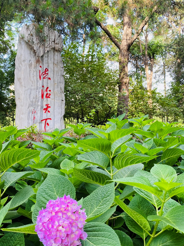 2023高招進行時丨中國政法大學：法學轉入比例增加一倍，多專業實行本碩貫通培養_fororder_5-4