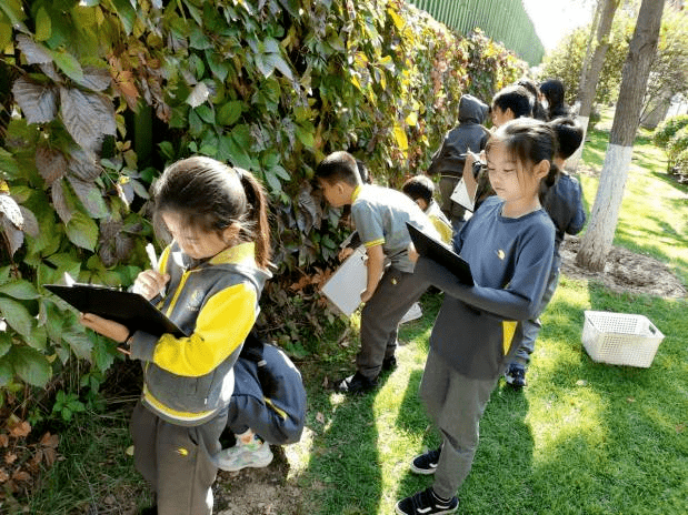 從懵懂少年走向終身學習者｜朝陽凱文學校以STEM教育賦予學生丈量世界的尺