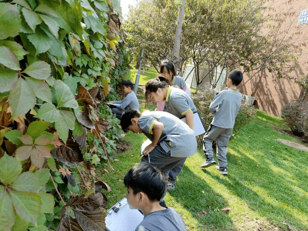 從懵懂少年走向終身學習者｜朝陽凱文學校以STEM教育賦予學生丈量世界的尺