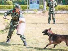 圖片默認標題