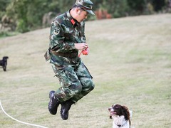 圖片默認標題