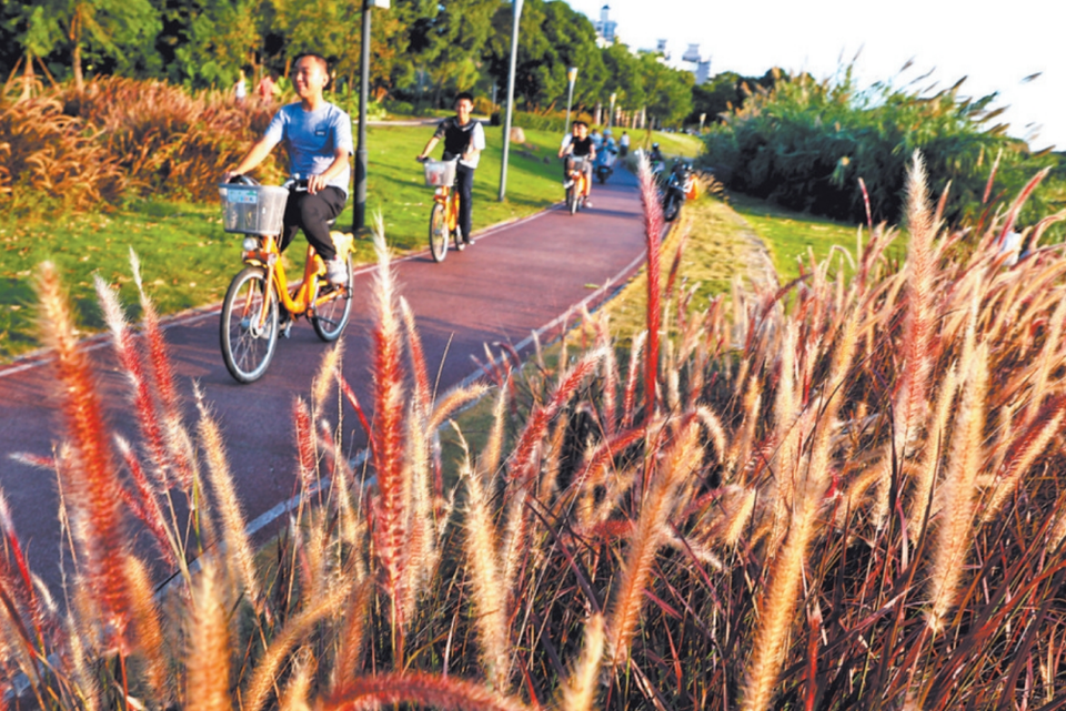 泉州公園：“全齡友好”的綠色新天地