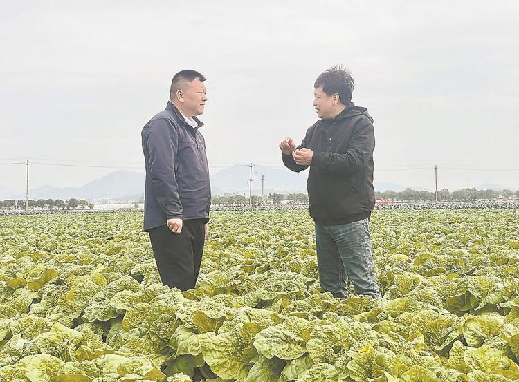 泉州惠安：廢殼“催”良田 沃土“掘”碳匯