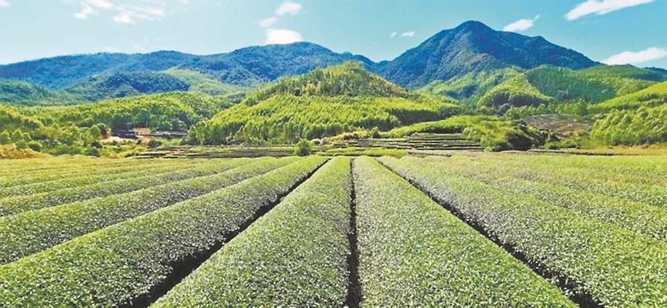 莆田仙遊：一灣碧水潤民生